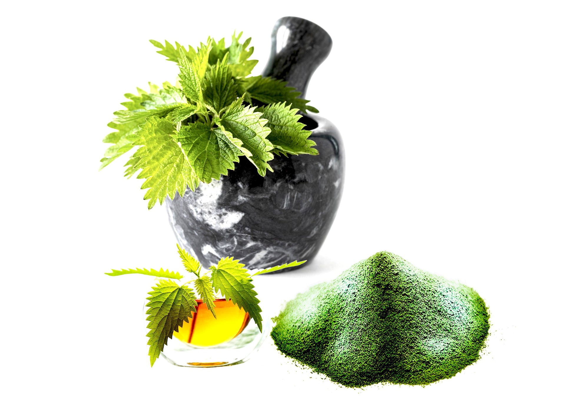 L'INCROYABLE ORTIE BIO 2000mg - Complément Alimentaire-1